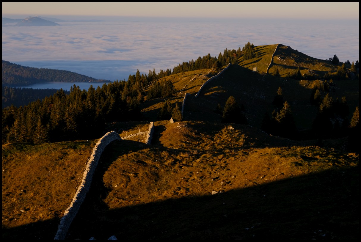 DSCF6496.JPG