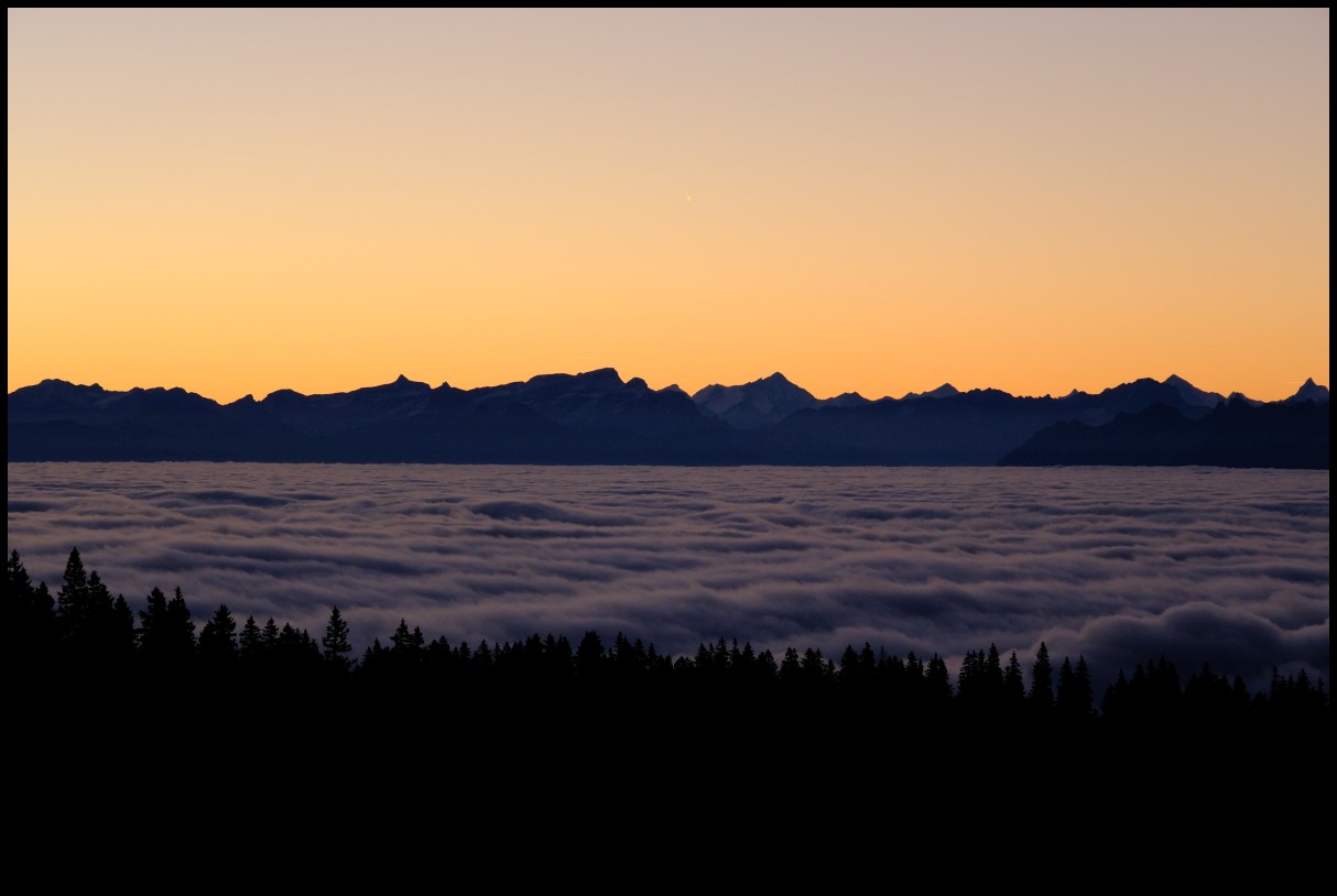 DSCF6515.JPG