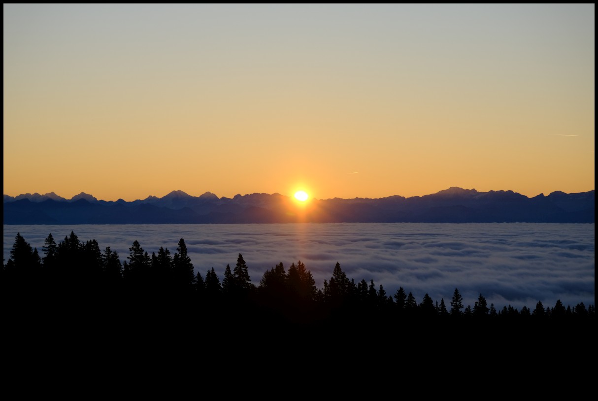DSCF6519.JPG
