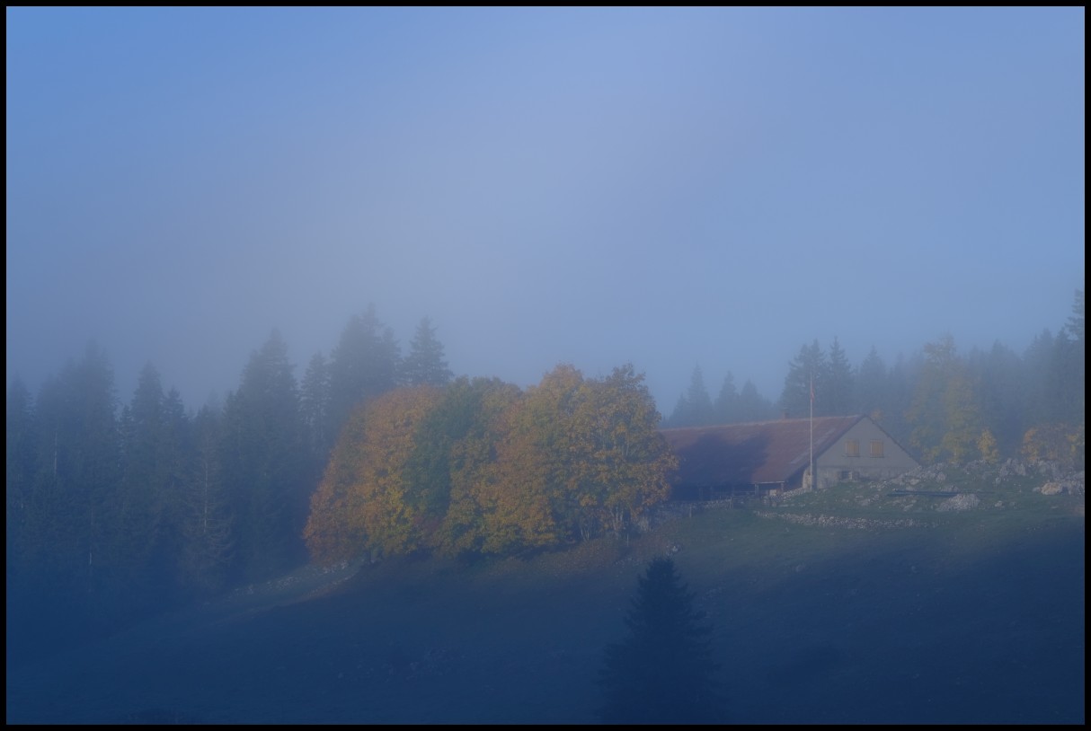 DSCF6528.JPG