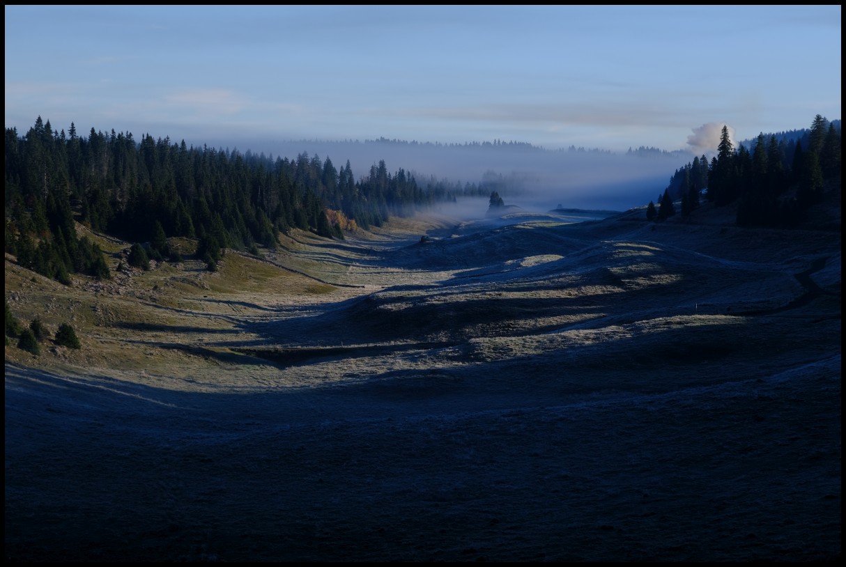 DSCF6529.JPG