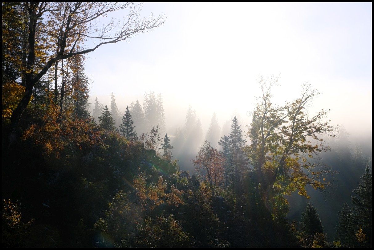 DSCF6533.JPG