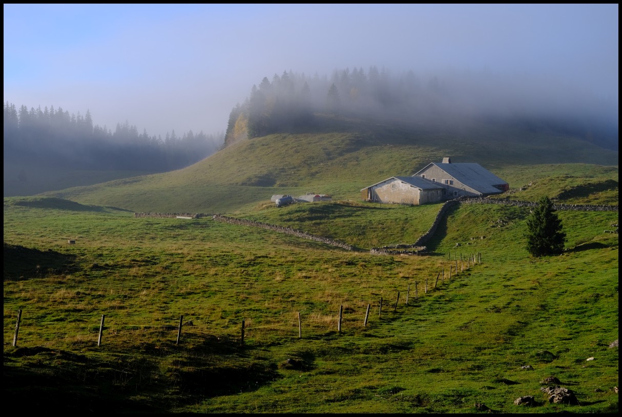 DSCF6535.JPG