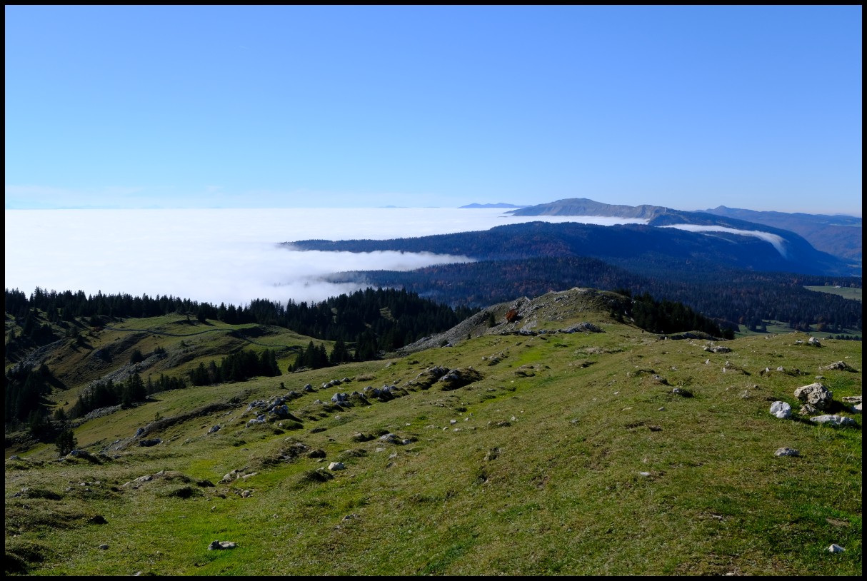 DSCF6553.JPG