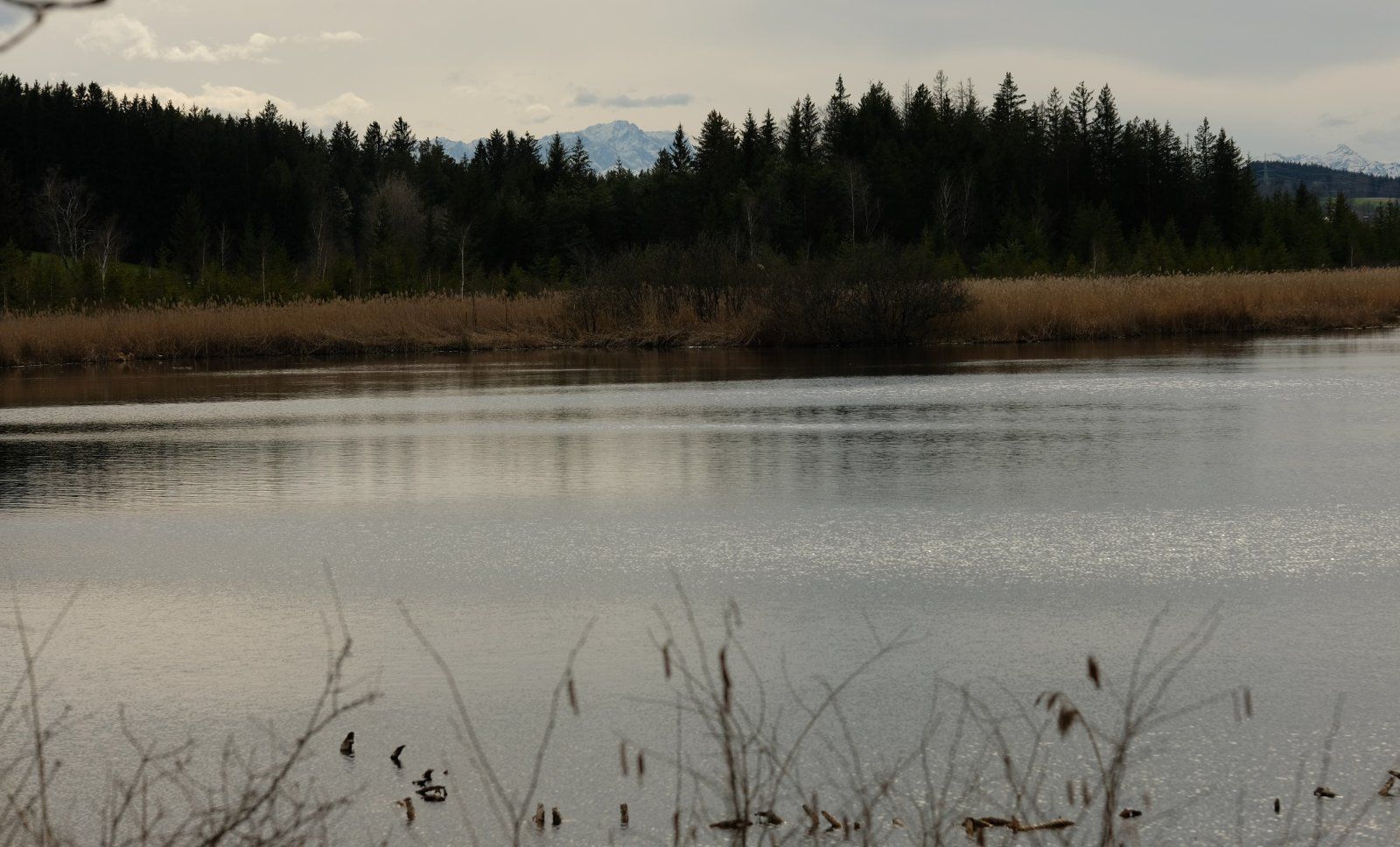 DSCF7440.JPG