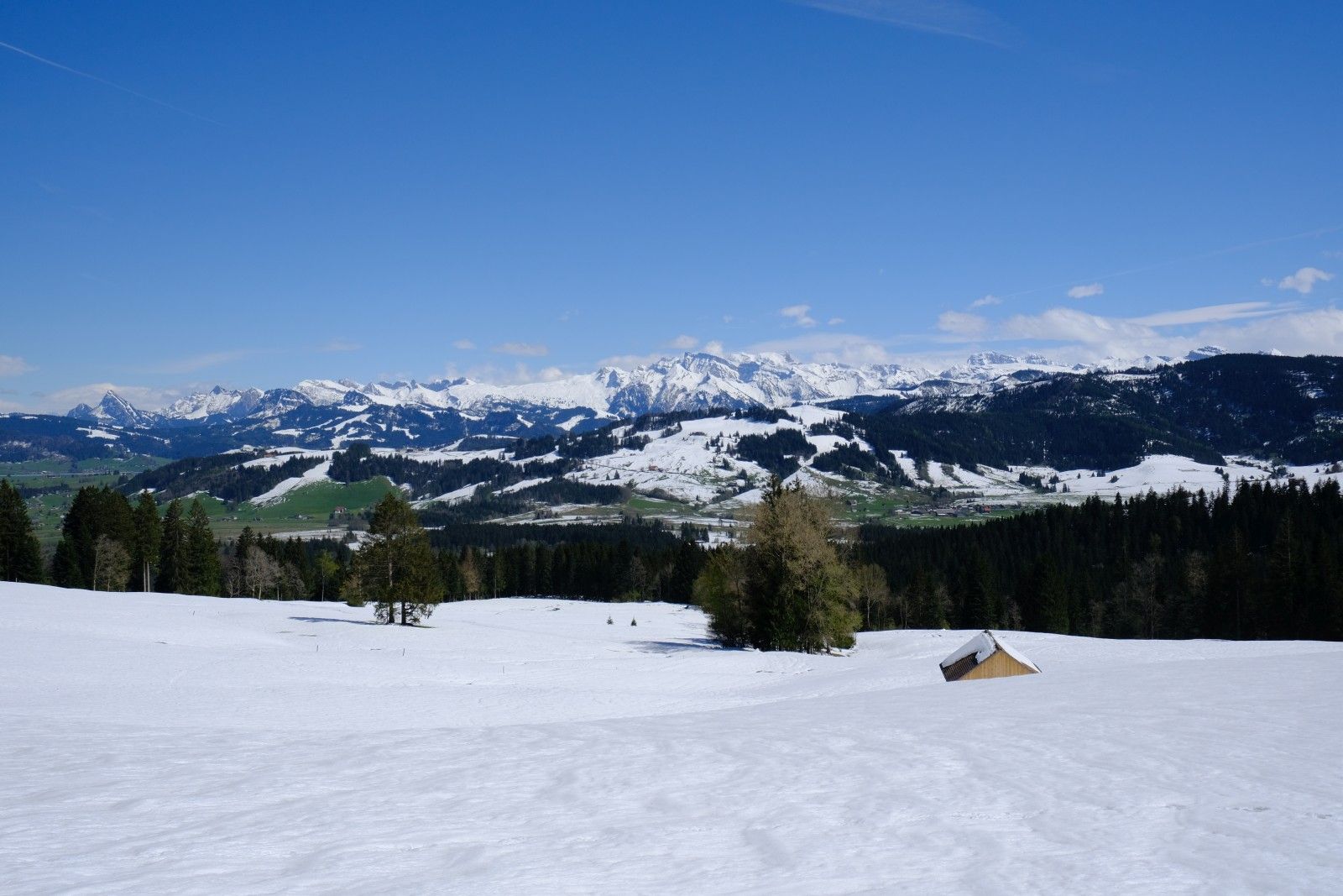 DSCF9288.JPG