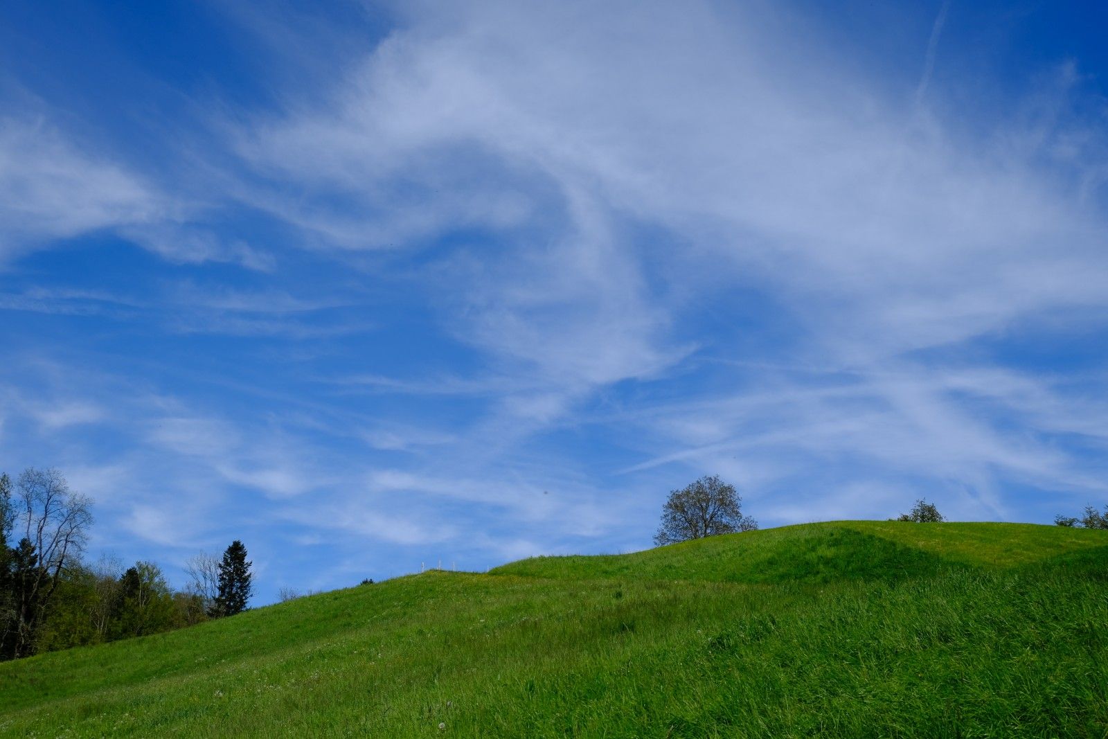 DSCF9290.JPG