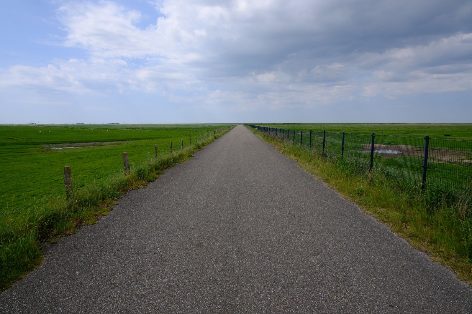 DSCF9502.JPG