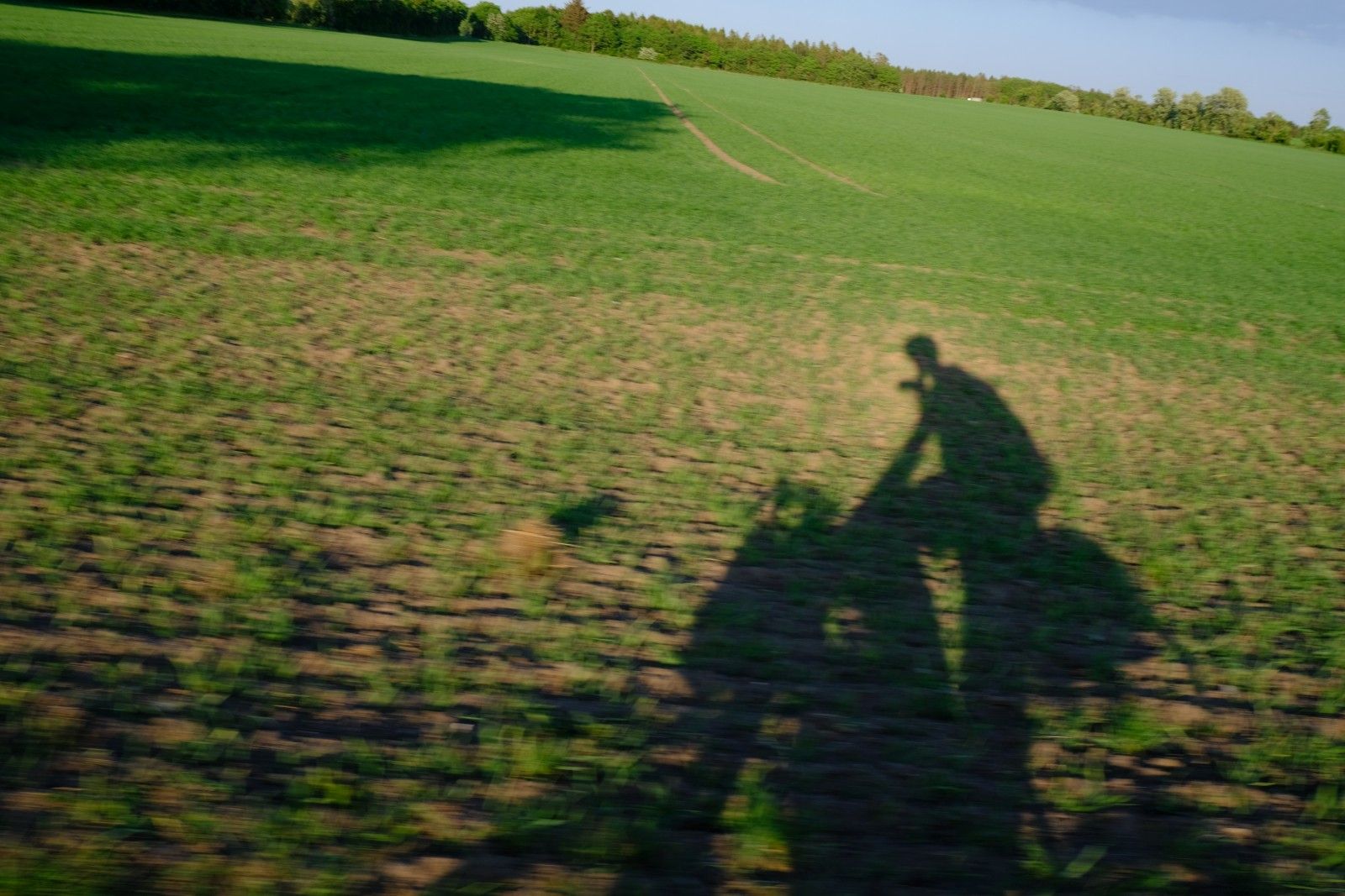 DSCF9510.JPG