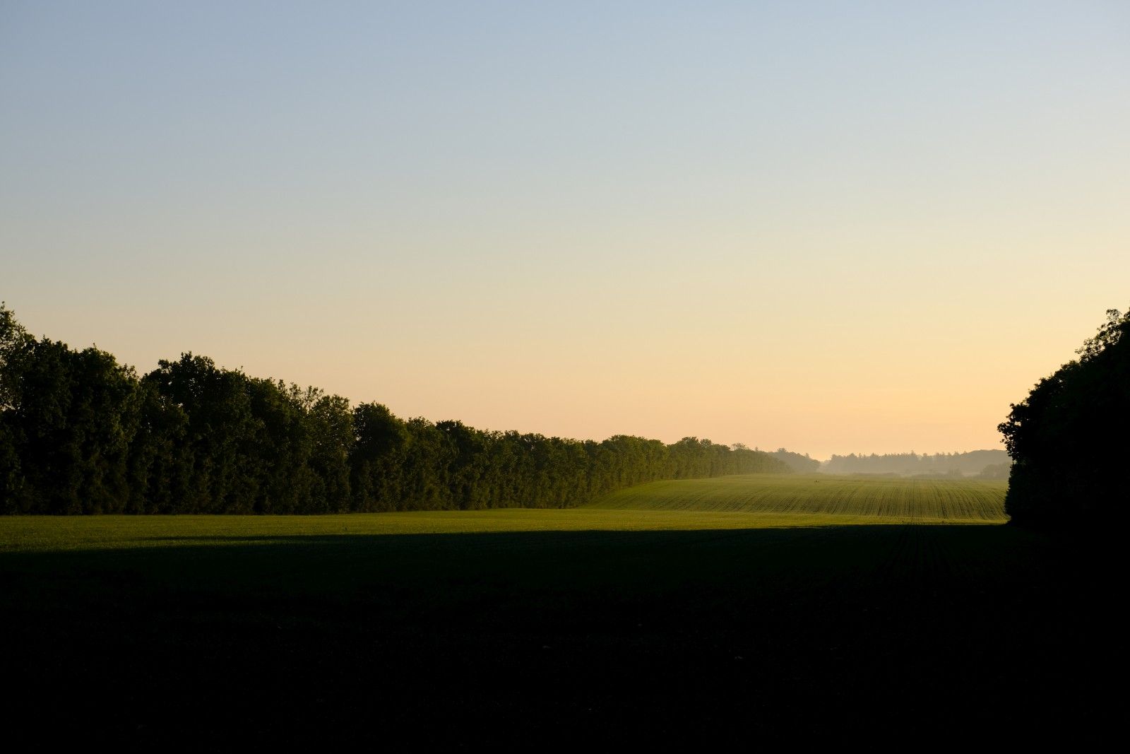 DSCF9516.JPG