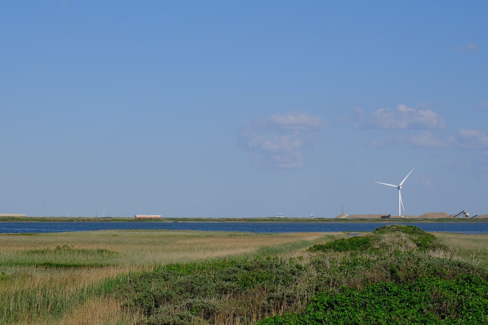 DSCF9594c.JPG