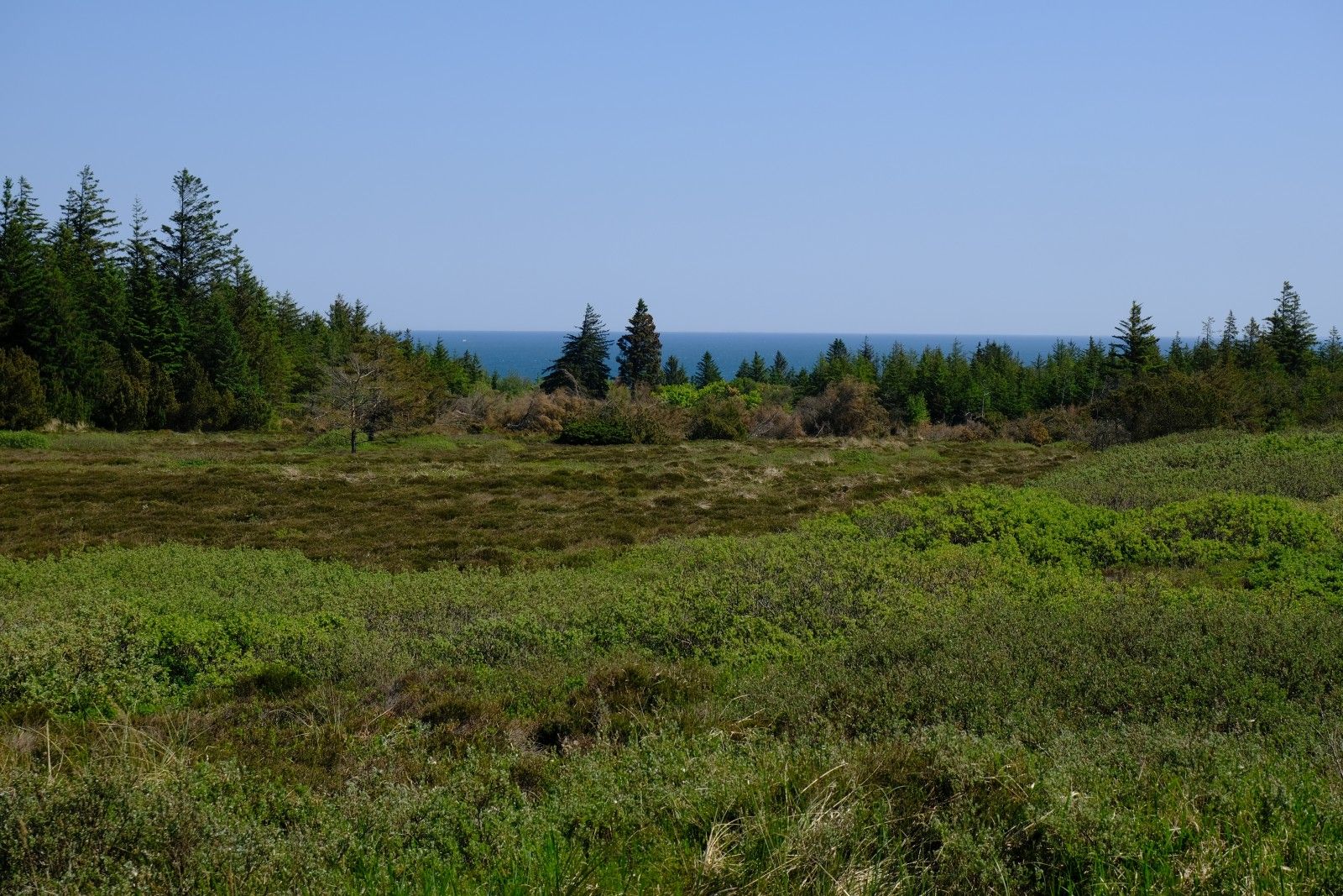 DSCF9671.JPG