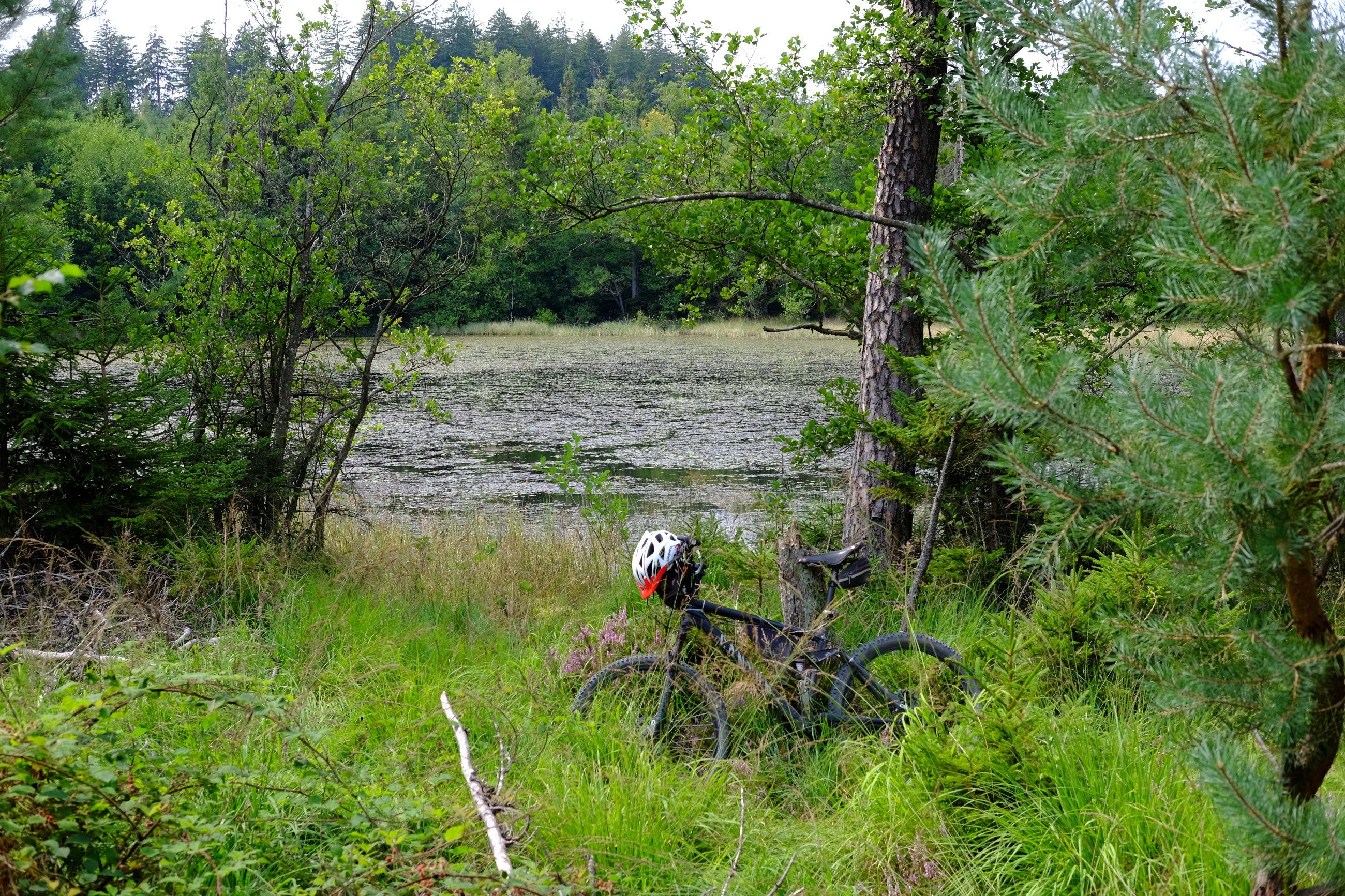 DSCF9717.JPG