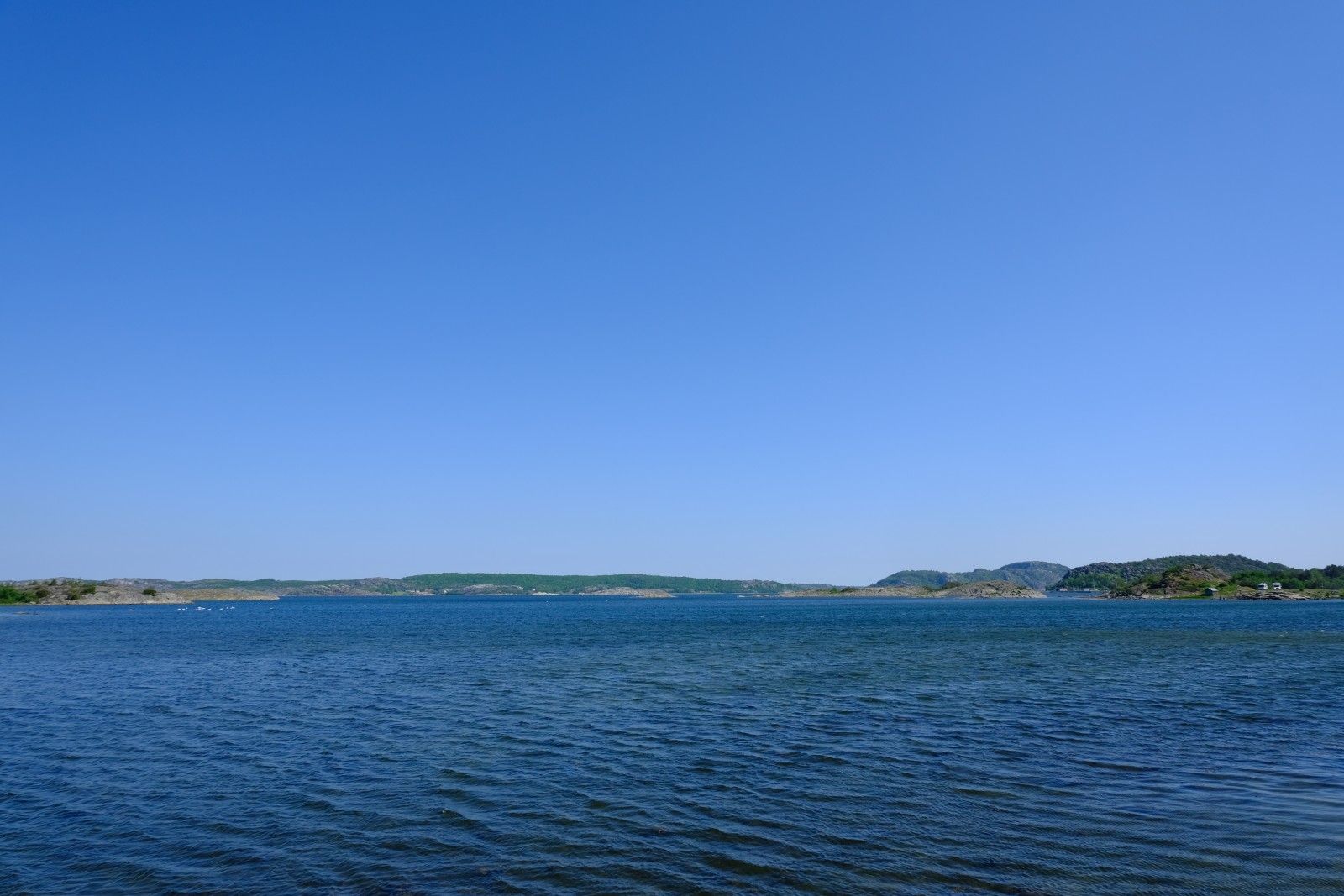 DSCF9830.JPG
