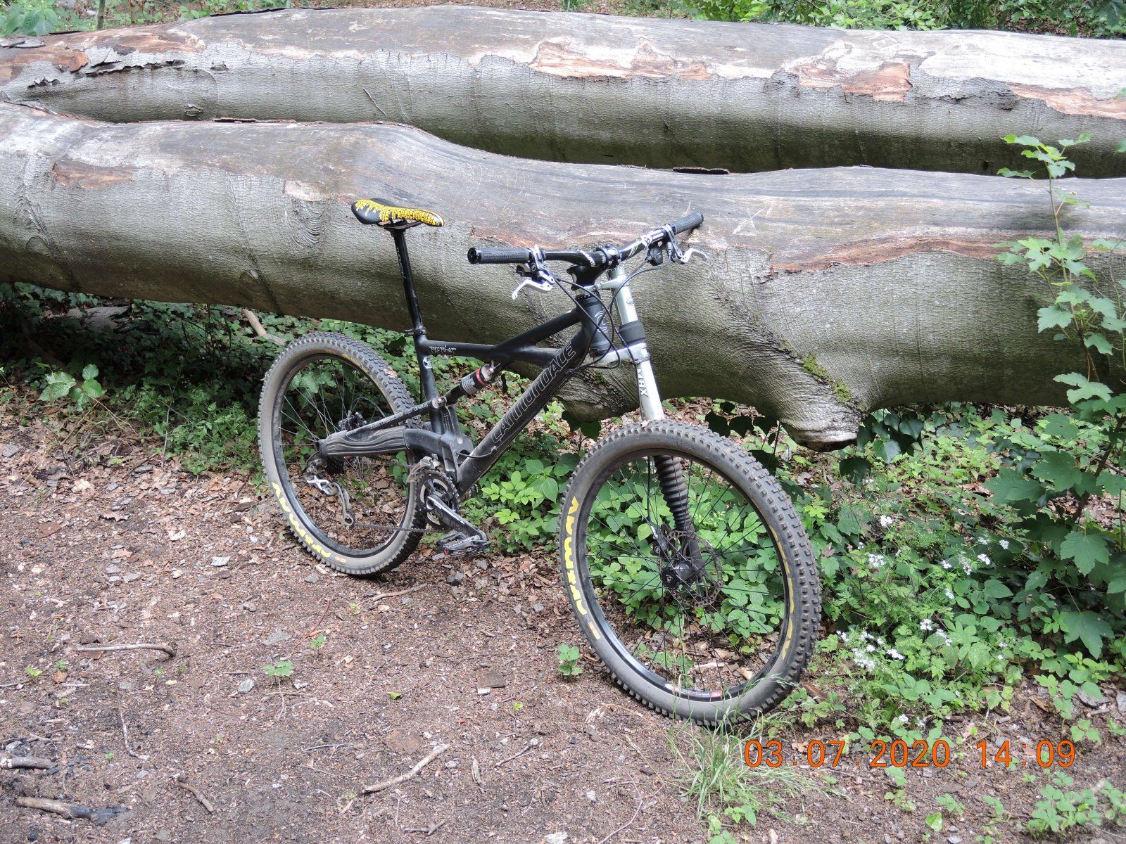DSCN0279.JPG