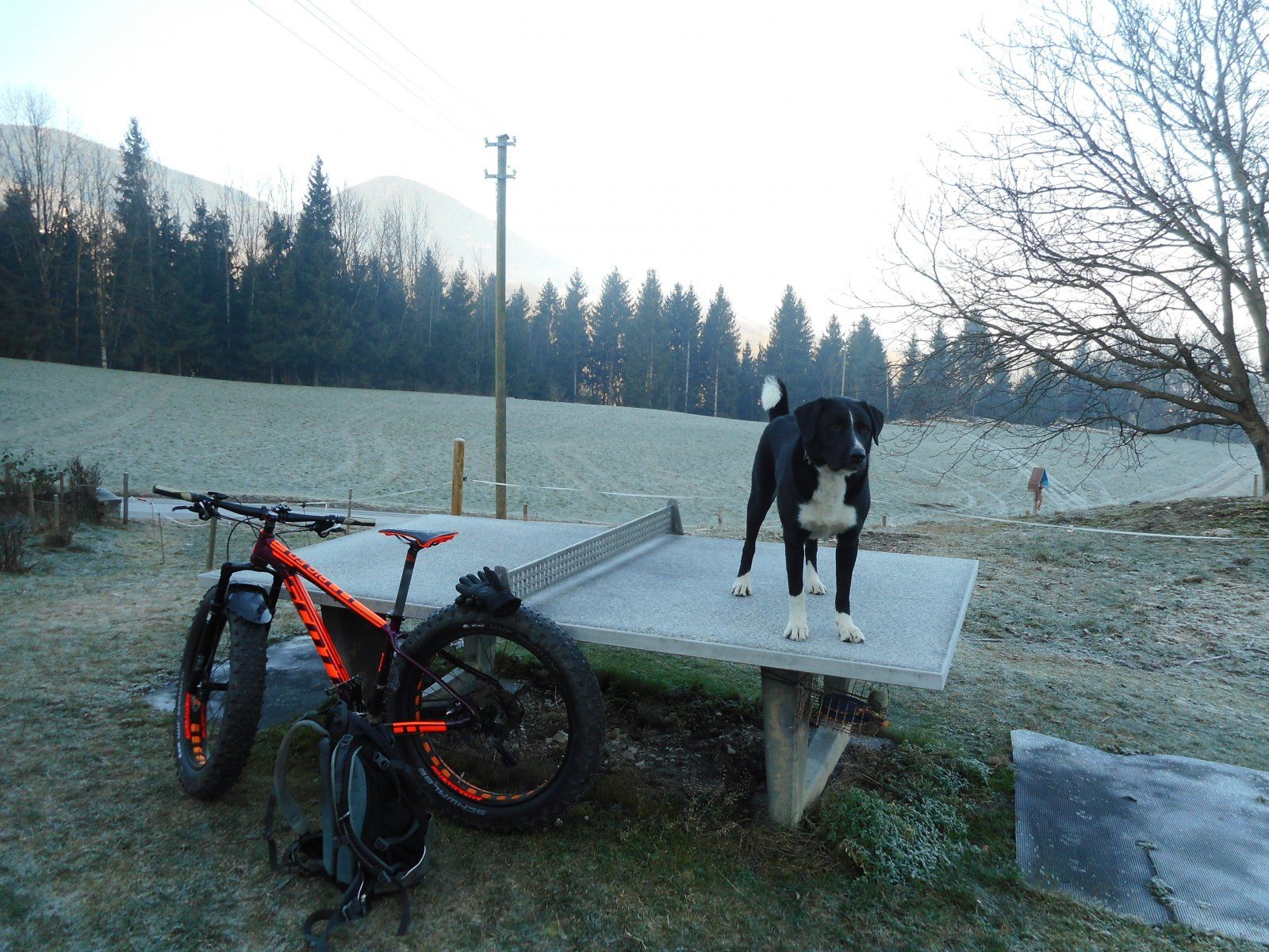 DSCN2567.JPG
