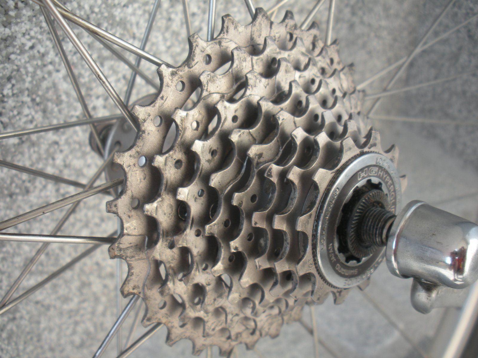 DSCN5232.JPG