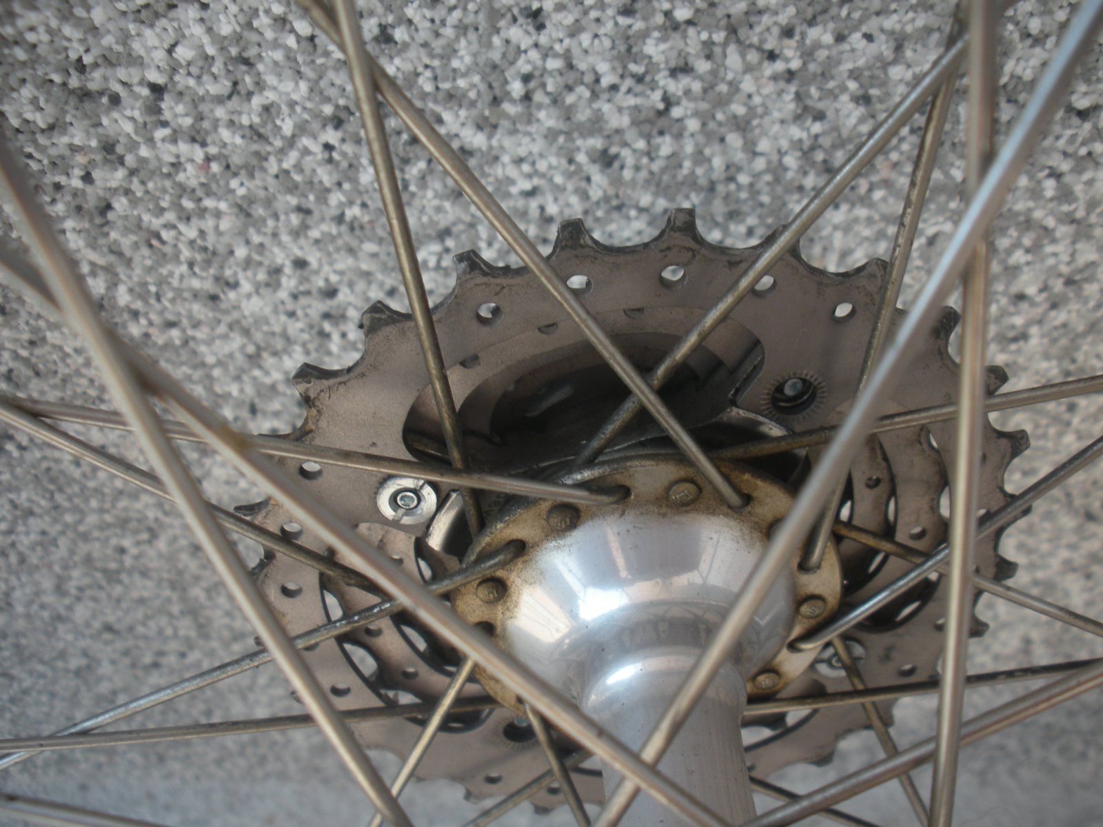 DSCN5237.JPG