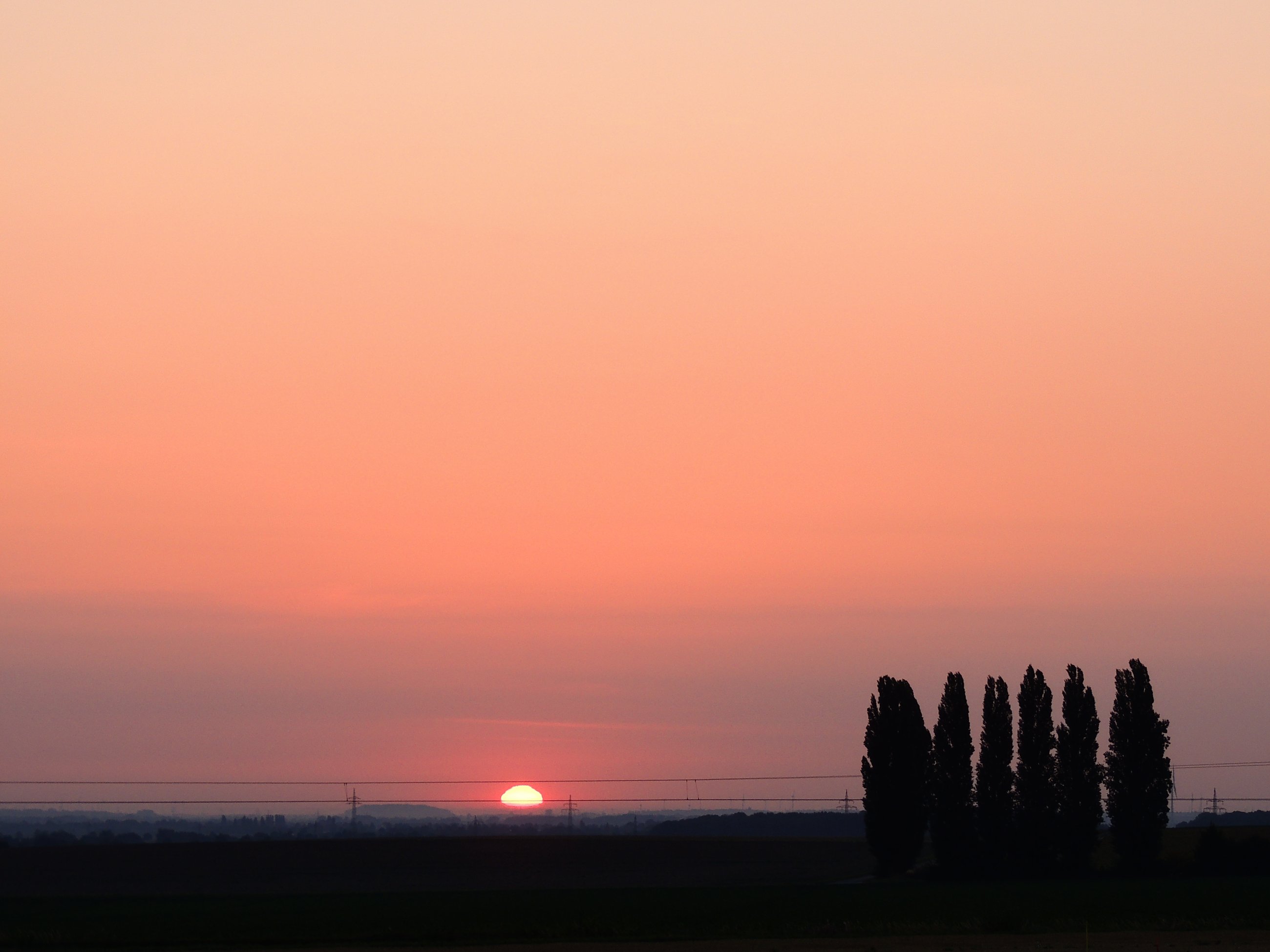 DSCN6983.JPG