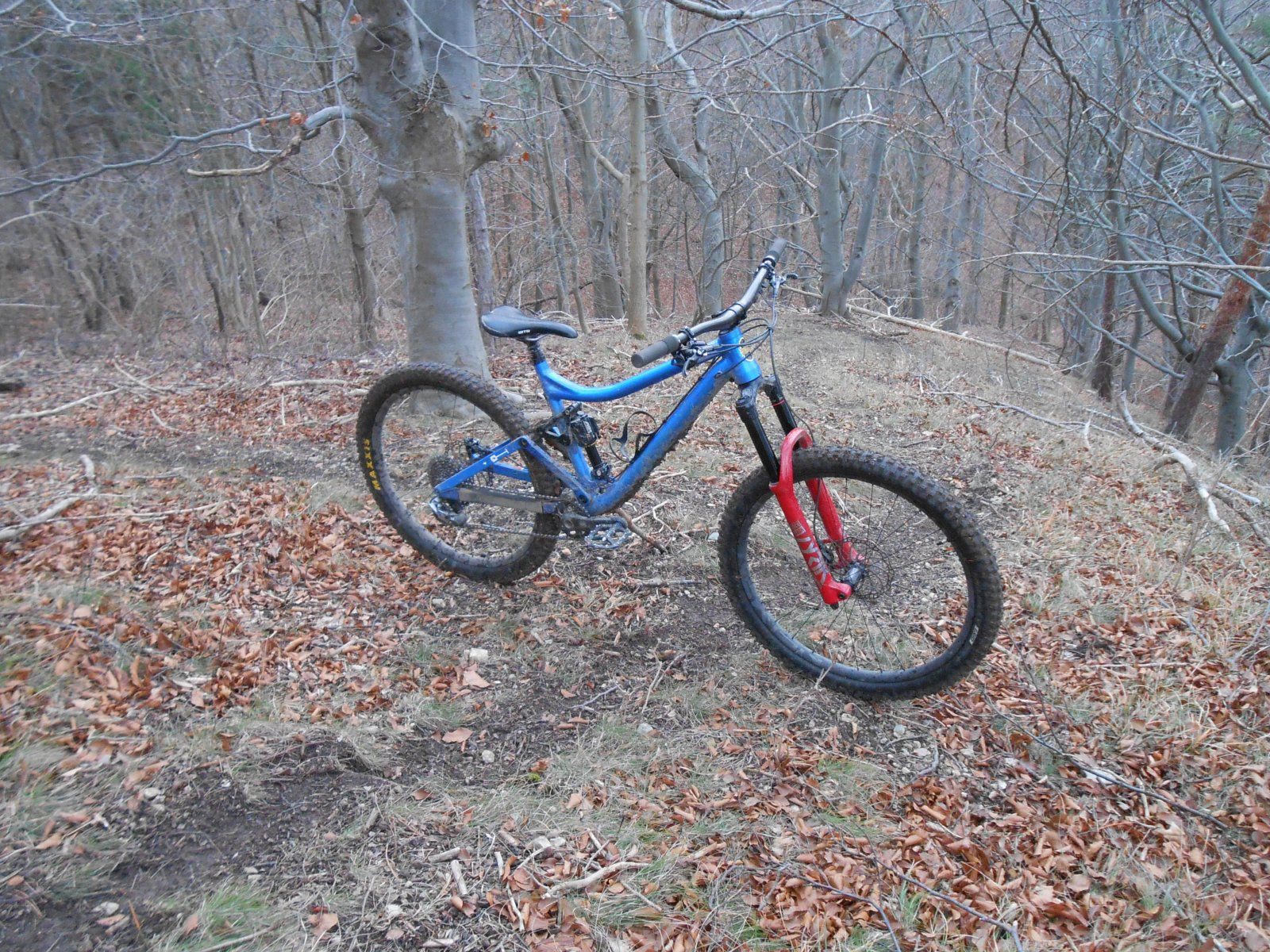 DSCN7676.JPG