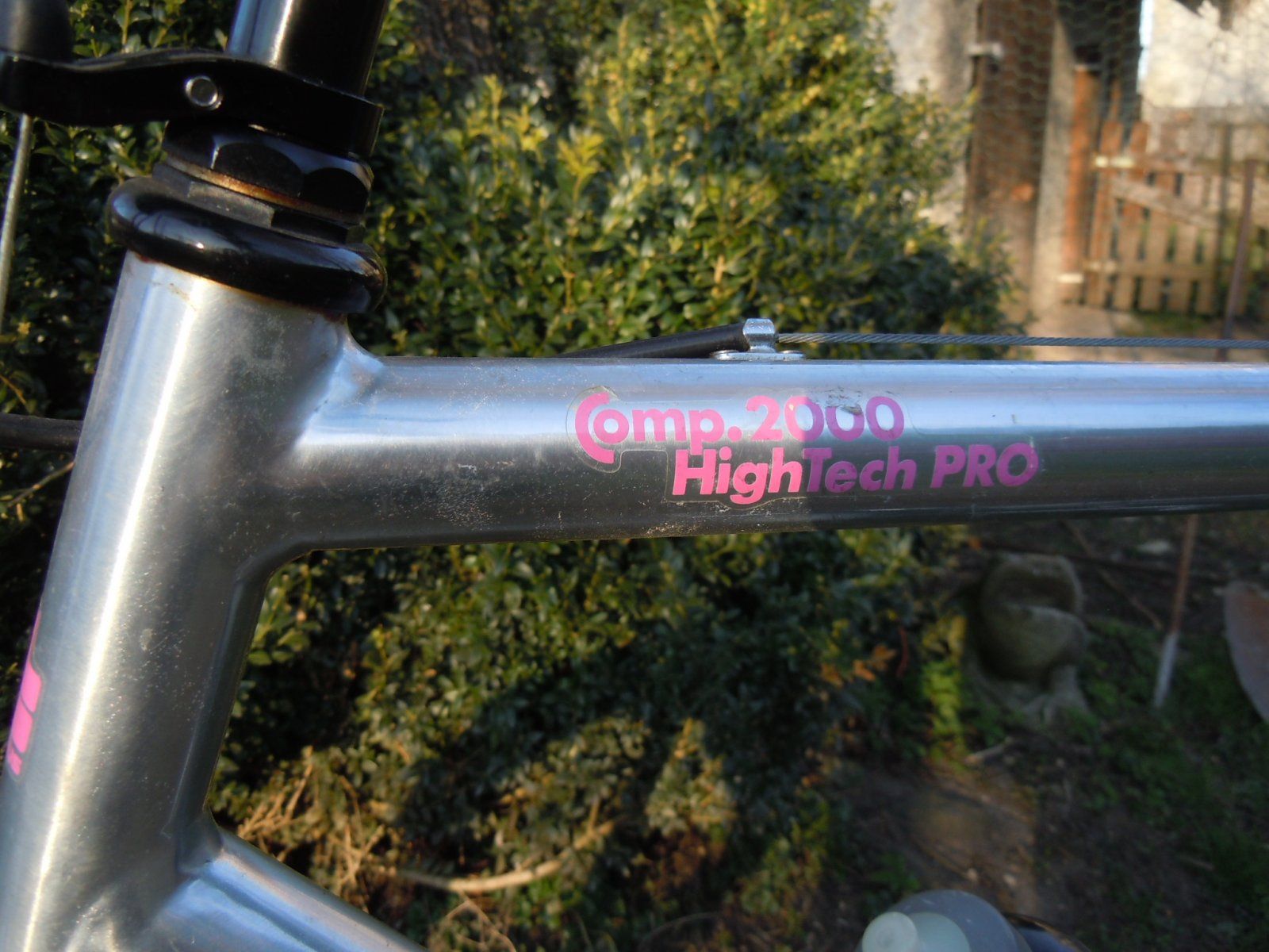 DSCN7981.JPG