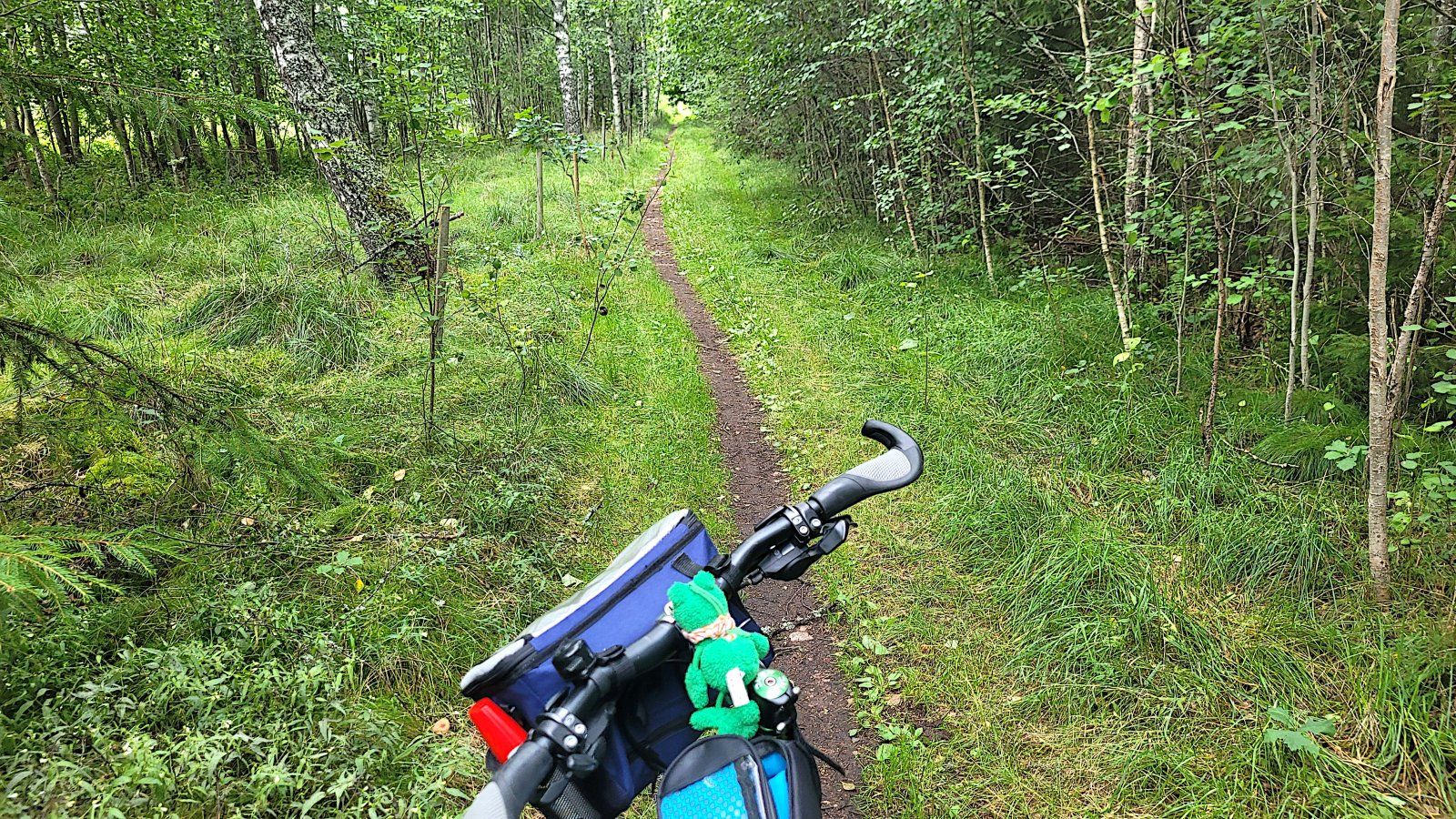 E Route n Hult MTB.jpg