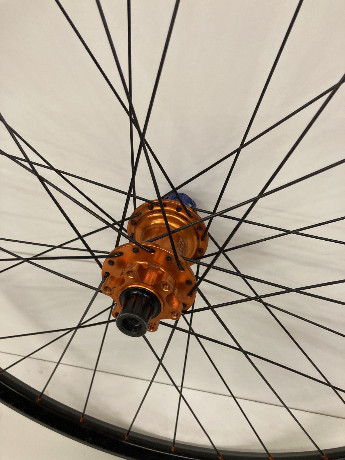 E177636D-E111-4888-ADEB-B3B9637F7C55.jpeg