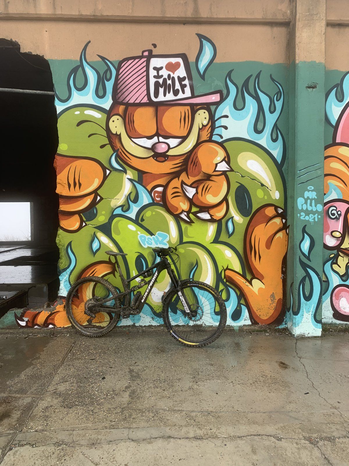 E3A46876-810D-48B7-826C-66F4493D4F73.jpeg