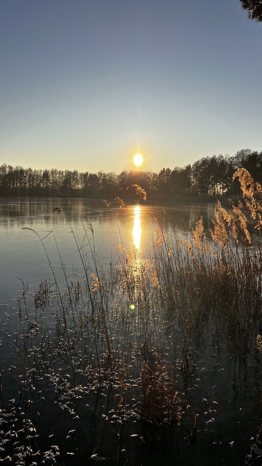 E4AE137F-0D7D-44C5-BB44-561A46F55254.jpeg