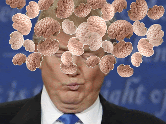 E4BF2FFA-CE89-4789-82B9-6EC3DE3092D2.gif