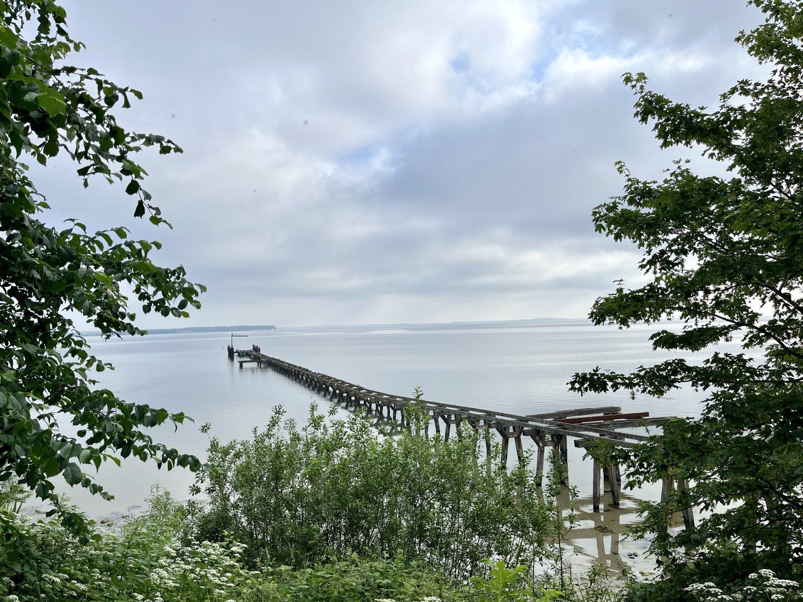 E53A491E-C081-4CB6-B1AD-D6433BA8C9F0.jpeg