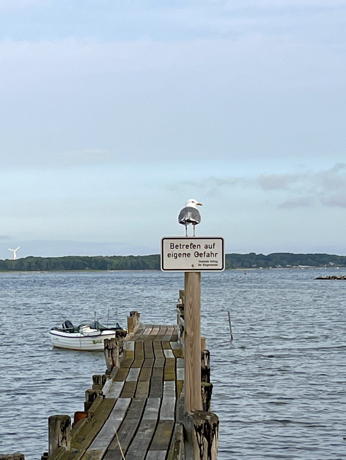 E7EC07C6-F2D0-47C7-A6AD-62F076BAB317.jpeg