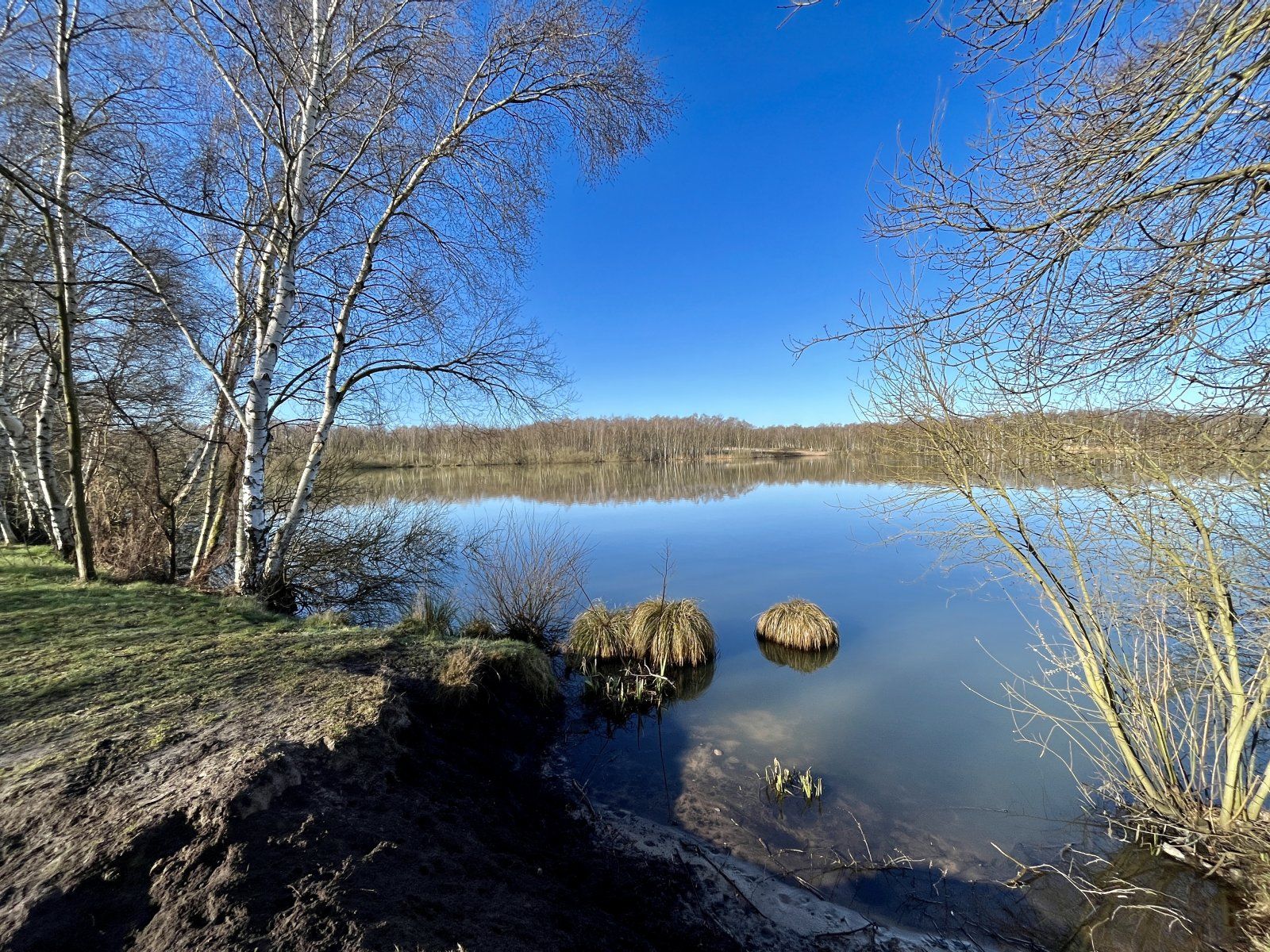 ED12F60D-0237-488E-B23C-245B0D388986.jpeg