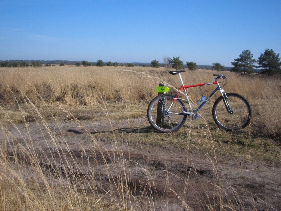 Ermelo_IMG_09026-o.jpg