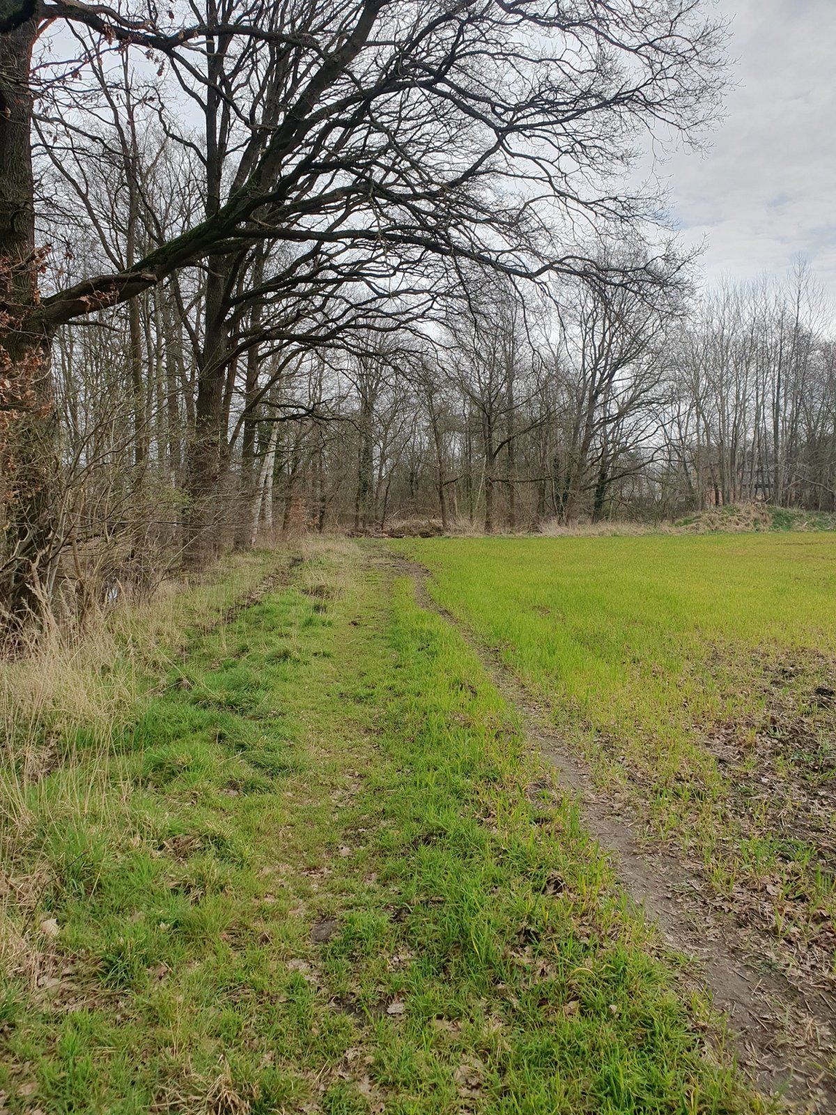 erst neben dem Feld folgen.jpg