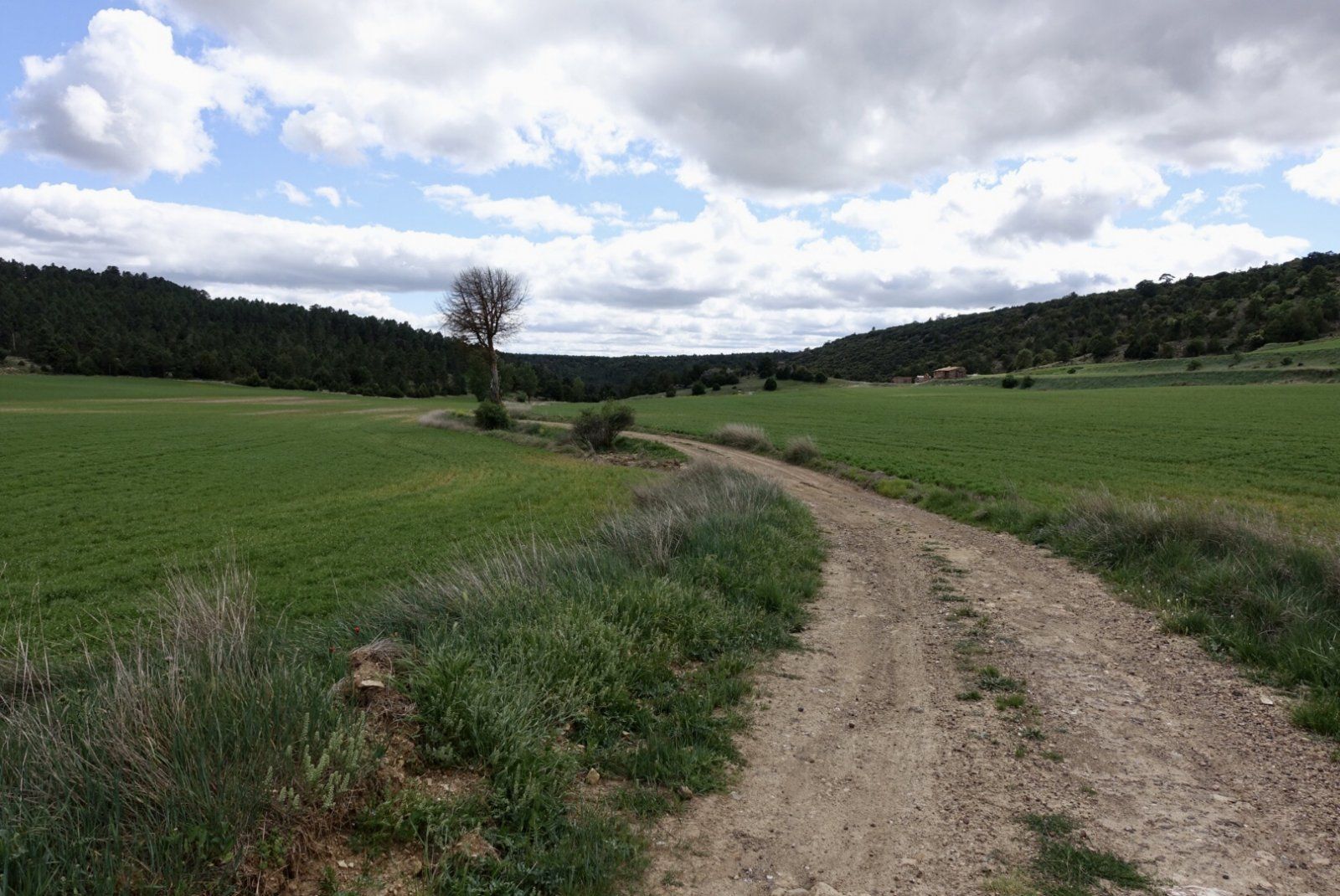 F0975F3C-300D-42C8-B9F6-93E28CA0D6E8.jpeg