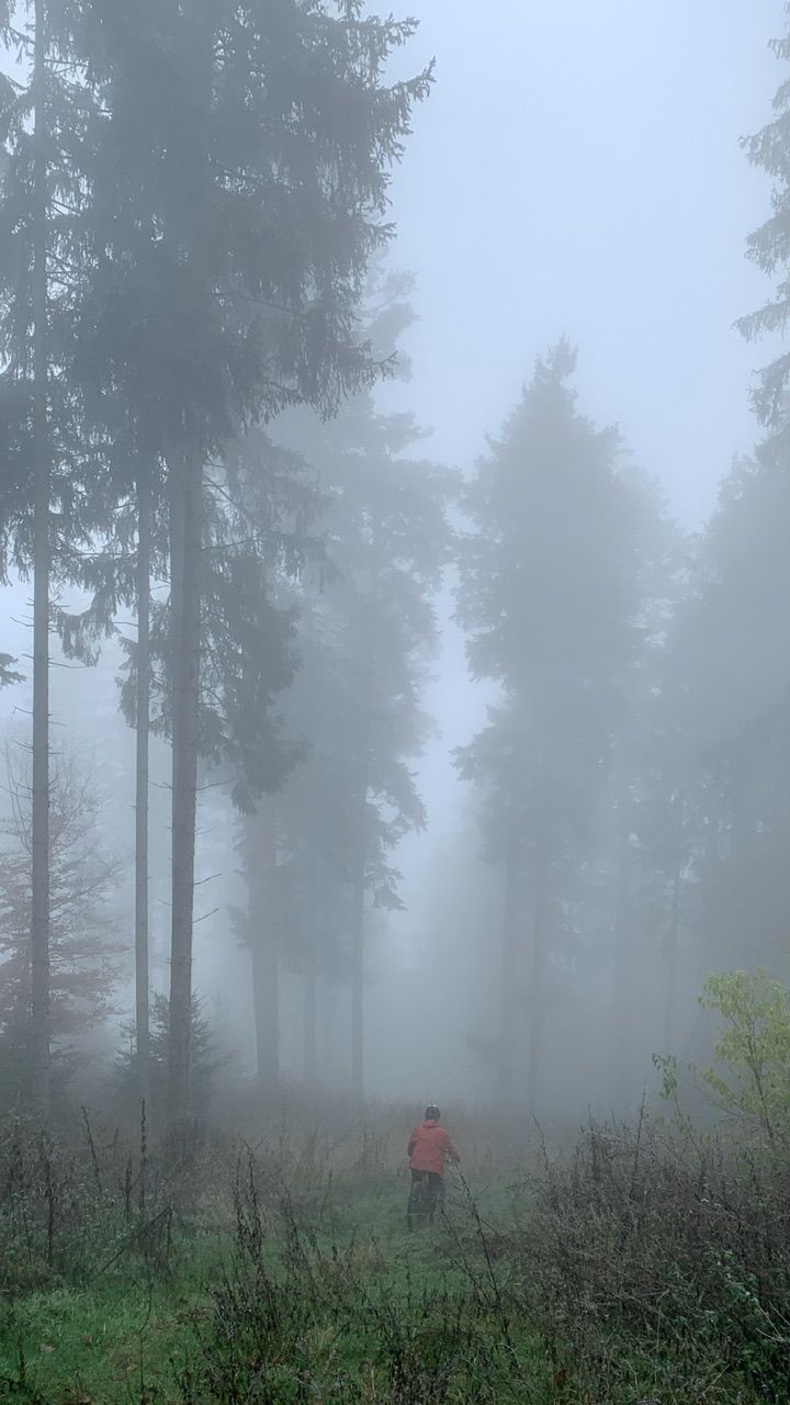 F1A9E6D0-0DE9-47BA-BCCA-B7D103093497.jpeg