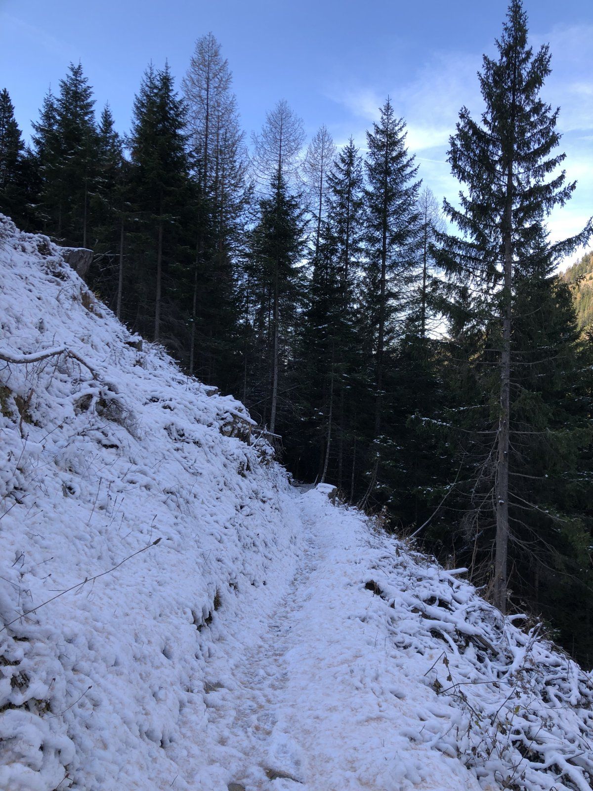 F380345B-1679-4B36-B0FB-EED6199FBE51.jpeg