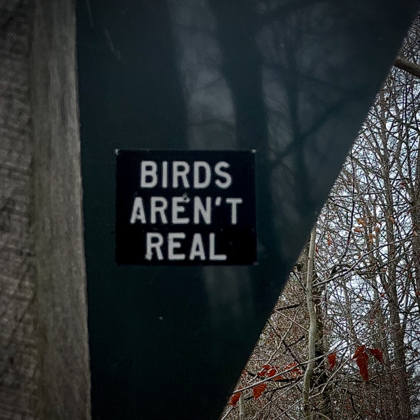 F3FB2188-56C3-44AD-955D-E04A36AF9FA5.jpeg