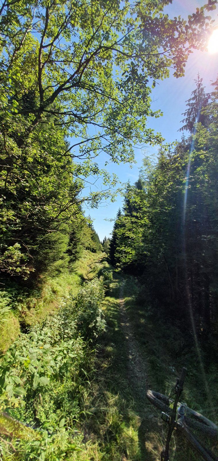 F56E80FF-CE24-4E72-8ED8-75B761D624F5.jpeg