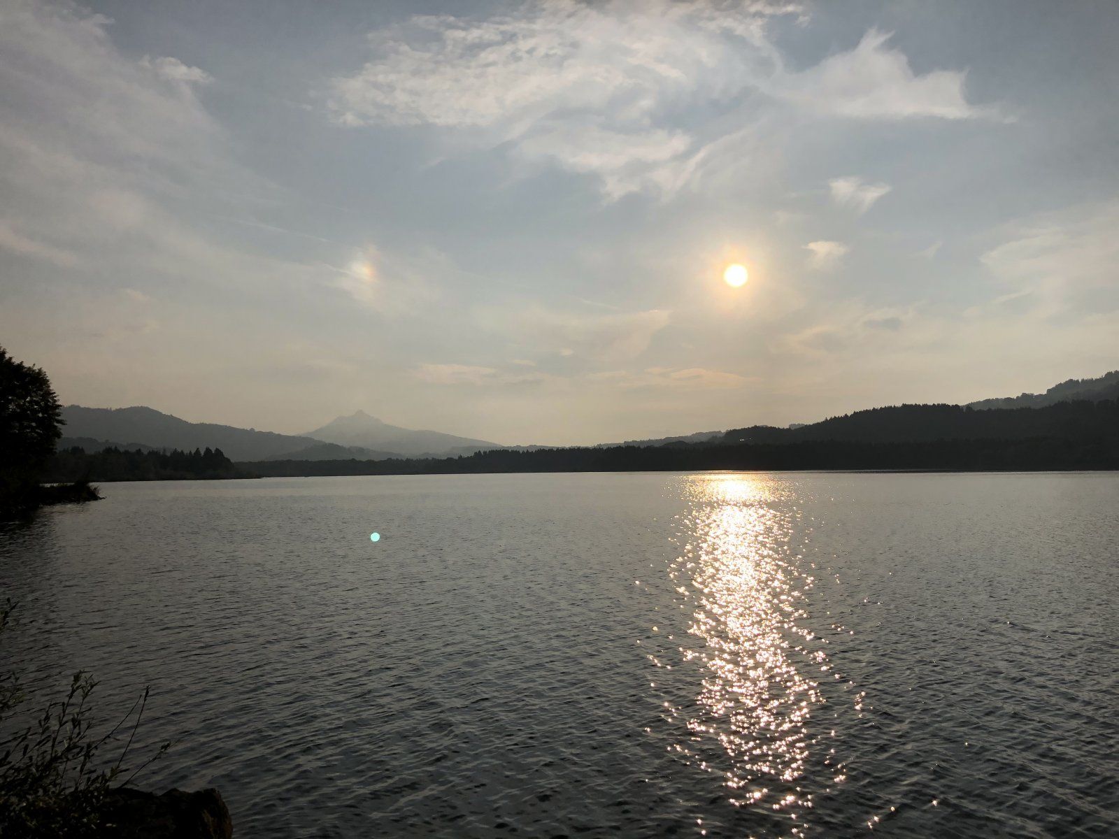 FA50796F-2CD0-4820-A8D0-7D0A3135DF39.jpeg
