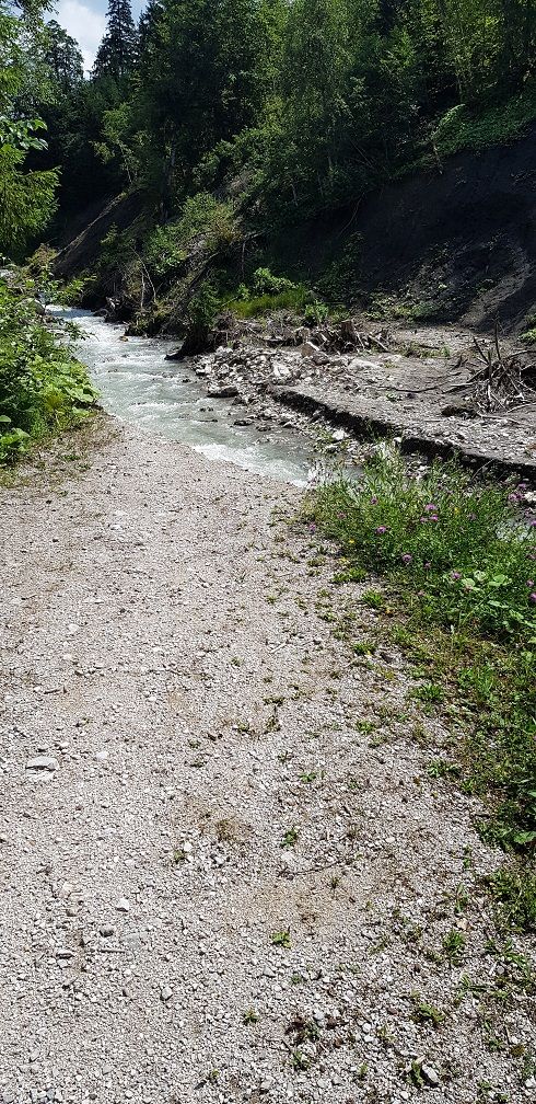 ferchenbach 03.jpg