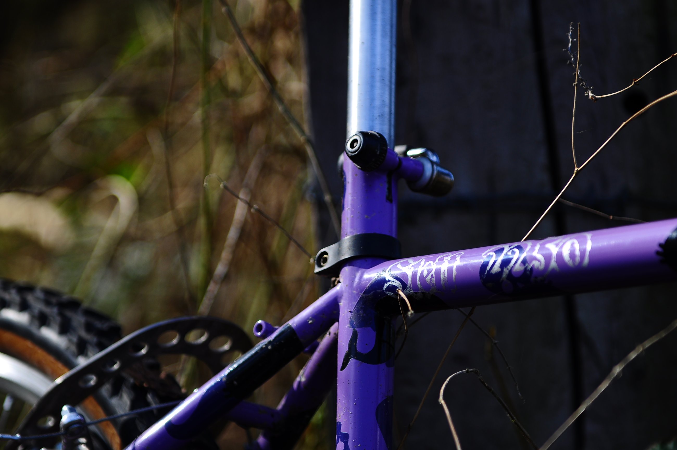FF-Kona 051.JPG