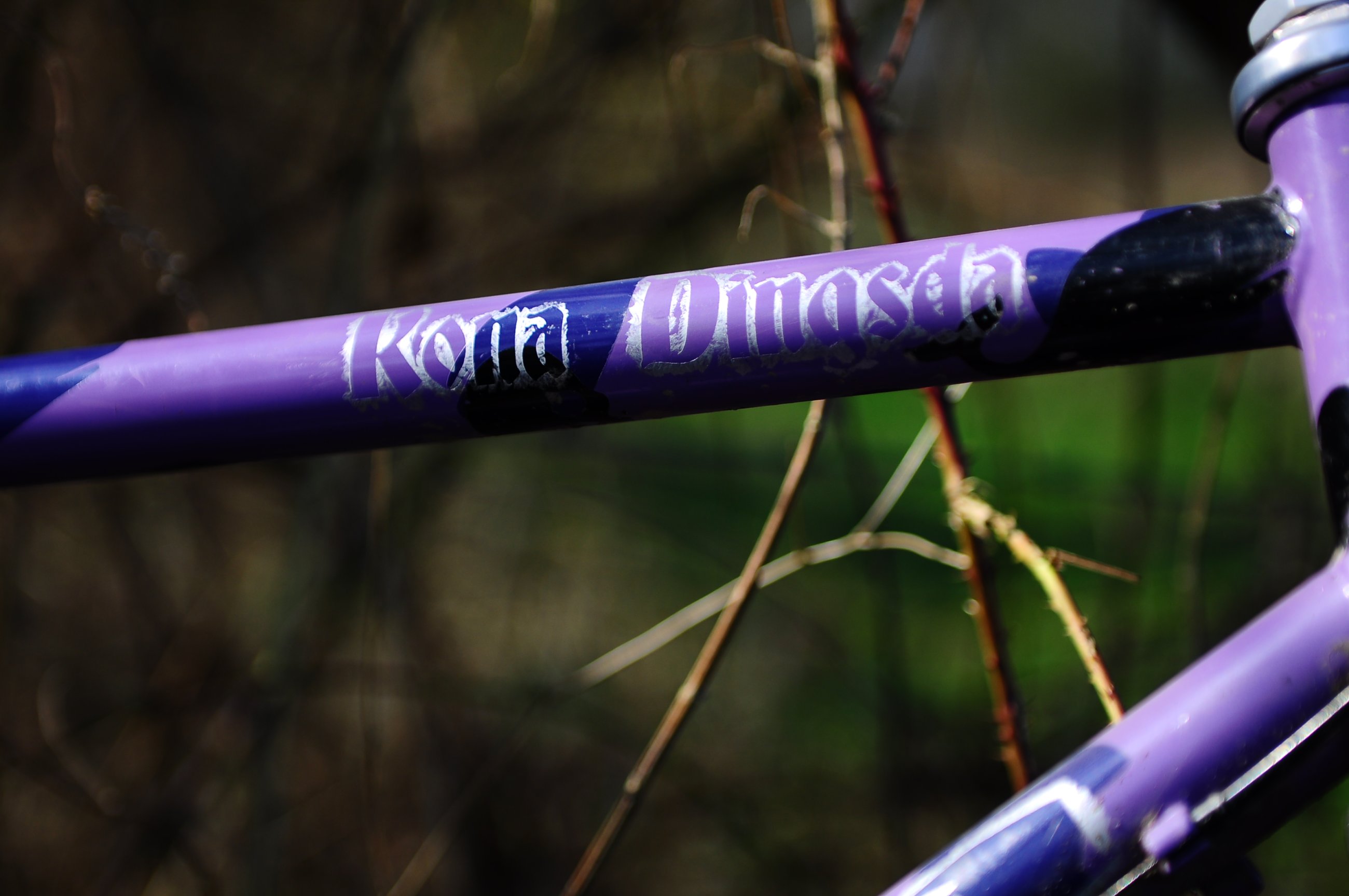 FF-Kona 052.JPG