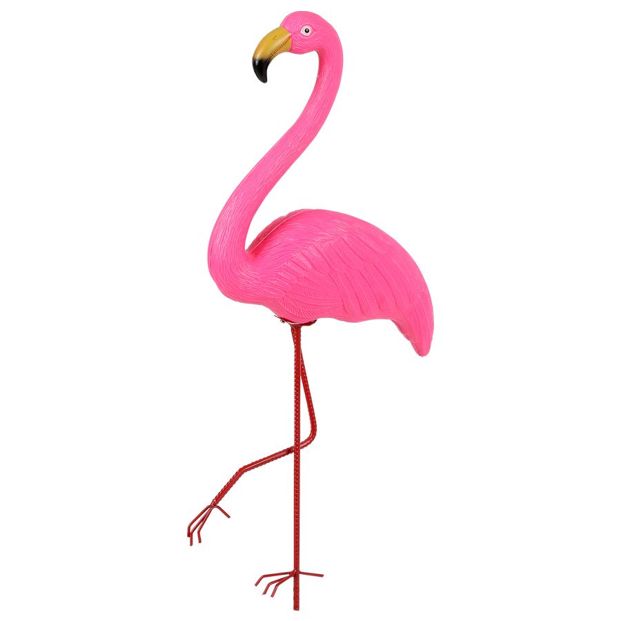 Flamingo.jpeg