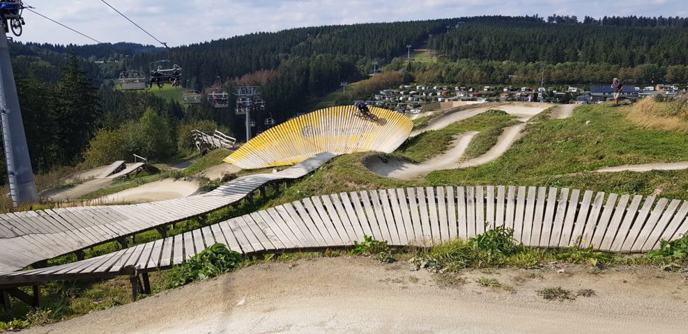 Fliege an Orangenscheibe.jpg