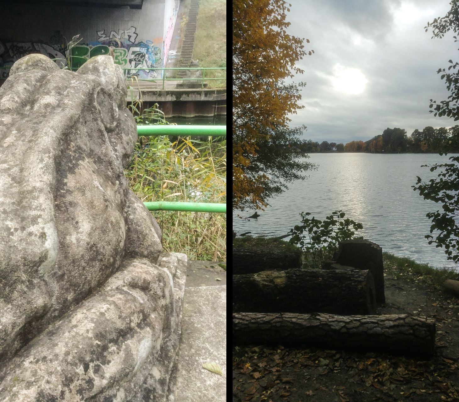Frosch-Flakensee.jpg
