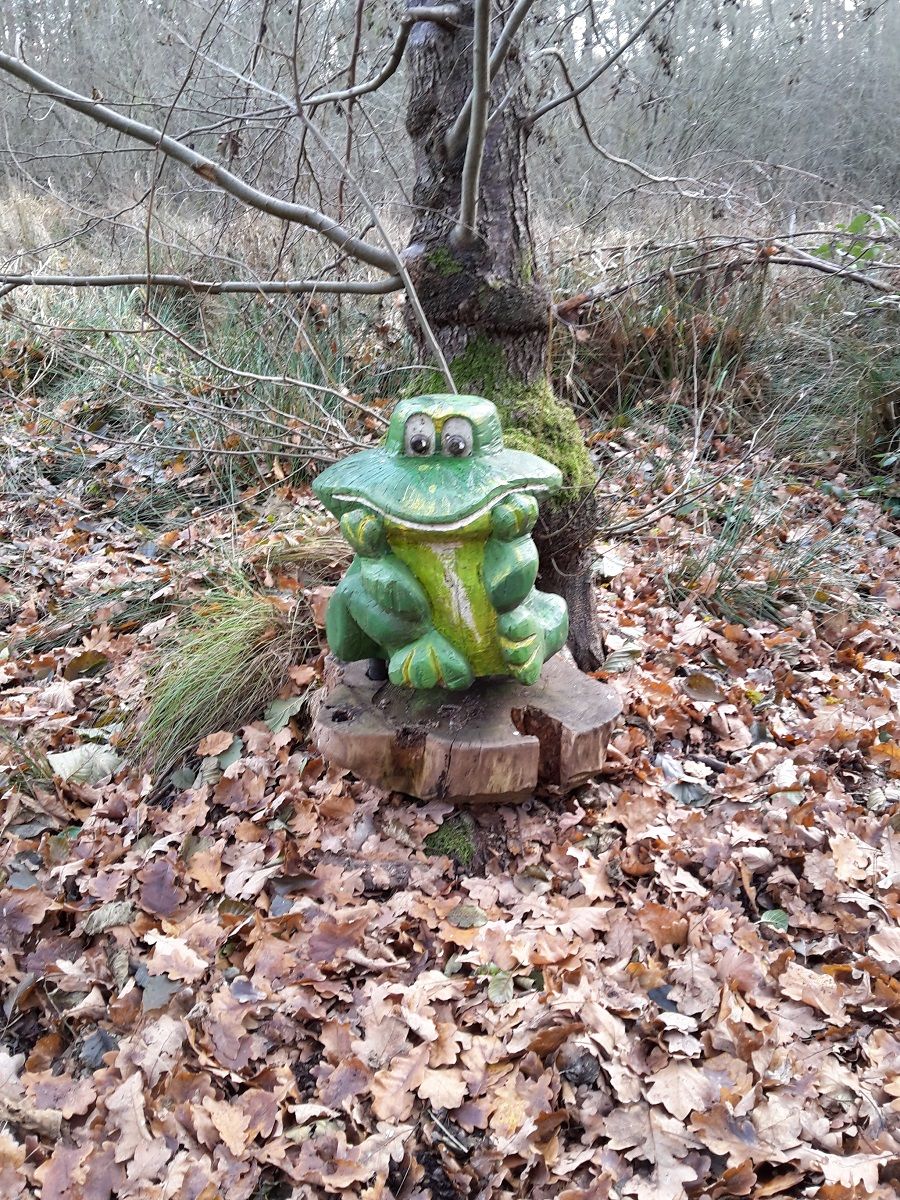 Frosch.jpg