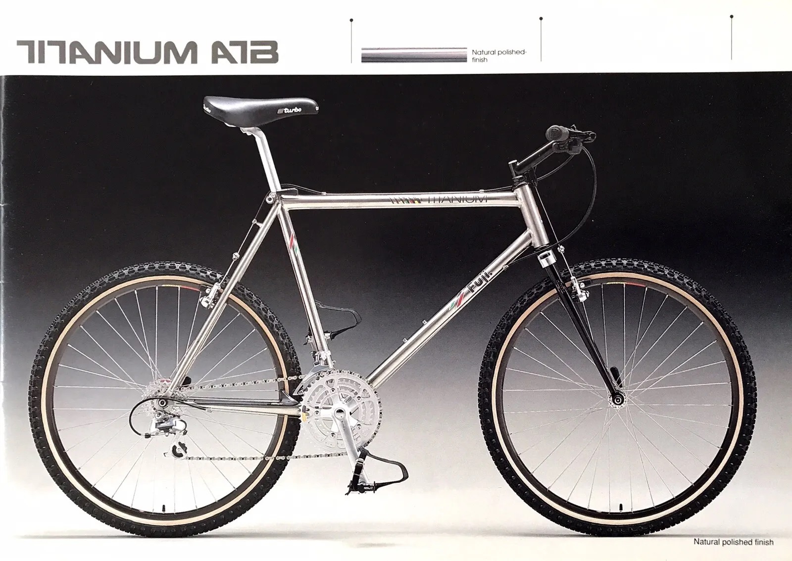 Fuji.jpg