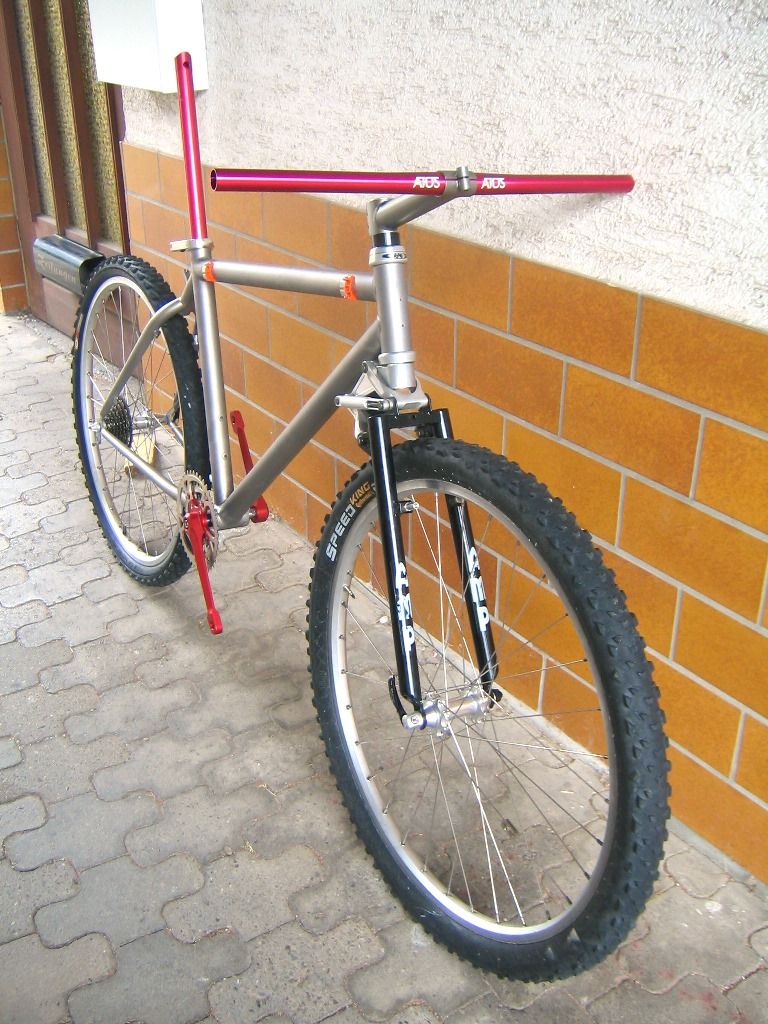 Gazelle Ti 02.jpg